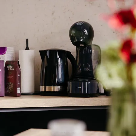 Borovi President Apartmán *