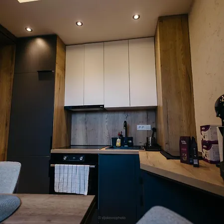 Apartment Borovi President