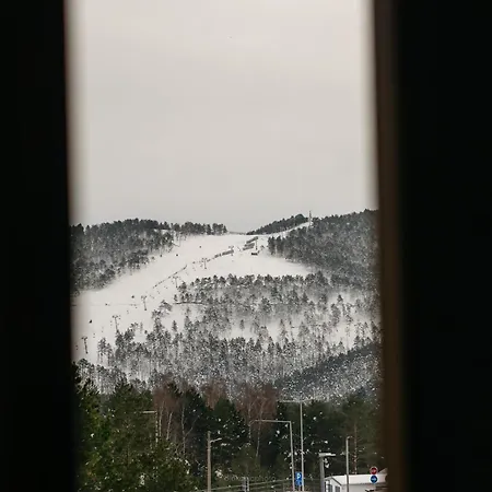 Borovi President Apartmán *