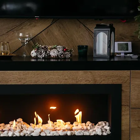 Apartment Borovi President