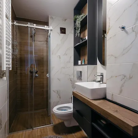 Apartment Borovi President