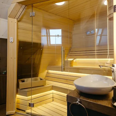 Apartmán Borovi President *